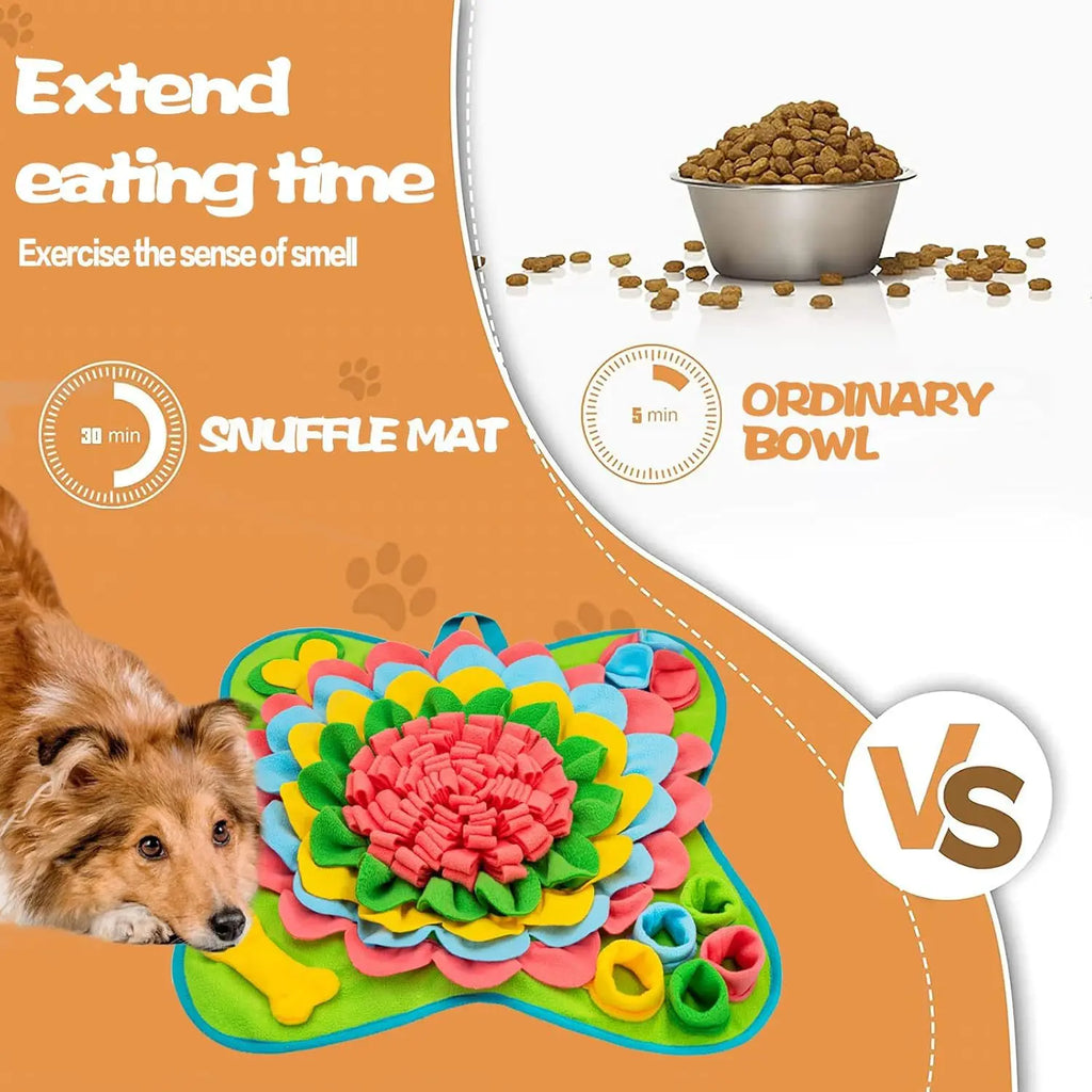 Snuffle mat compared with an ordinary bowl