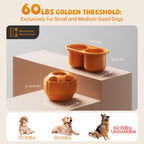 Frozen Treat Ball & Lick Tray Set