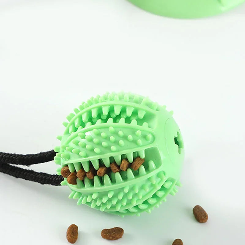 Suction Cup Tug & Treat Ball