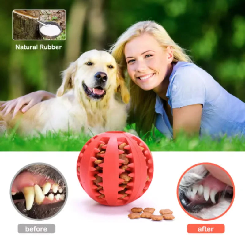 Woman and dog with a red rubber treat ball