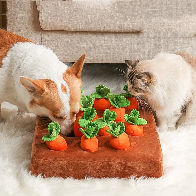Carrot Patch Sniffing Toy