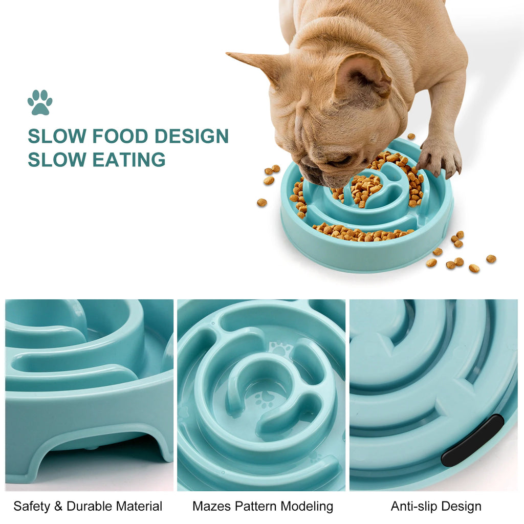 French bulldog eating kibble from a blue maze bowl