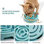 French bulldog eating kibble from a blue maze bowl