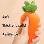 Carrot Patch Sniffing Toy