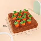 Carrot Patch Sniffing Toy