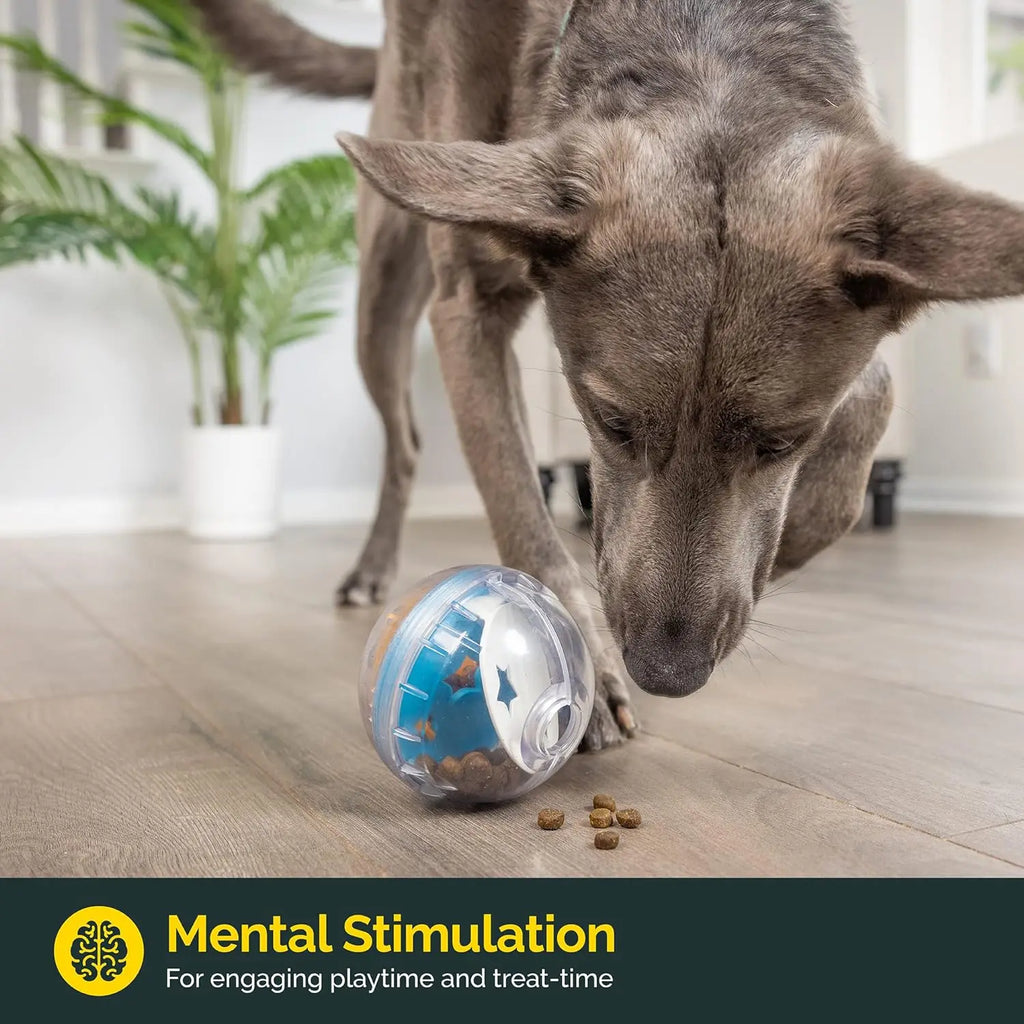 IQ Treat Ball (3.3 in)