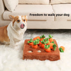 Carrot Patch Sniffing Toy
