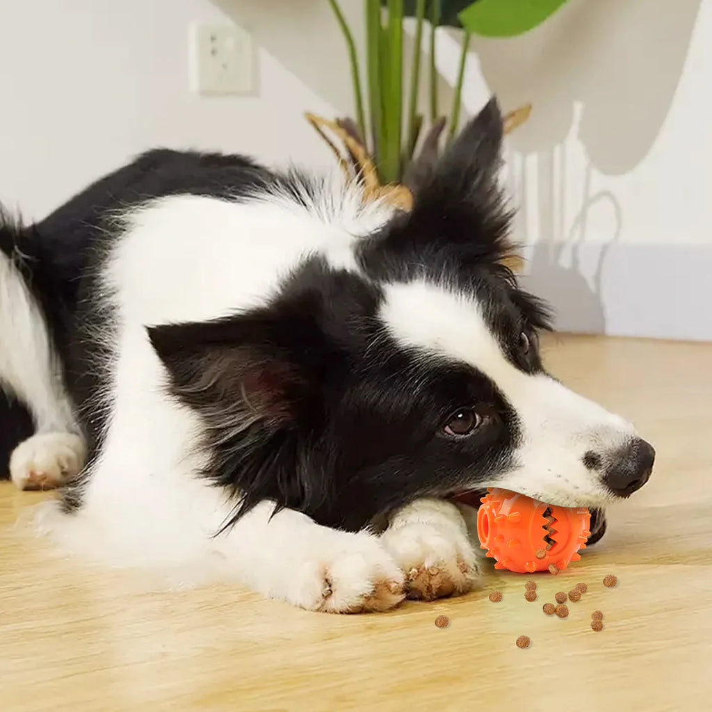 Chew & Treat Dispensing Ball